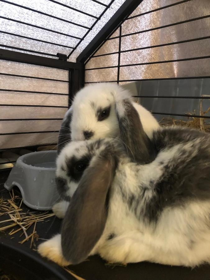 ホテル ラ グランジェ クールマイユール エクステリア 写真