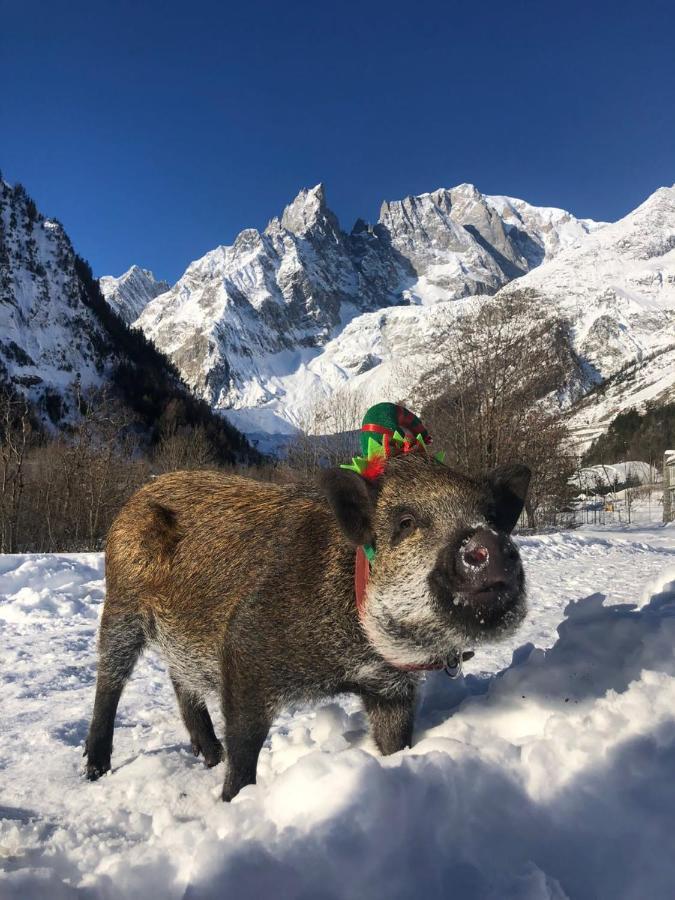 ホテル ラ グランジェ クールマイユール エクステリア 写真