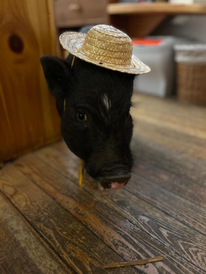 ホテル ラ グランジェ クールマイユール エクステリア 写真